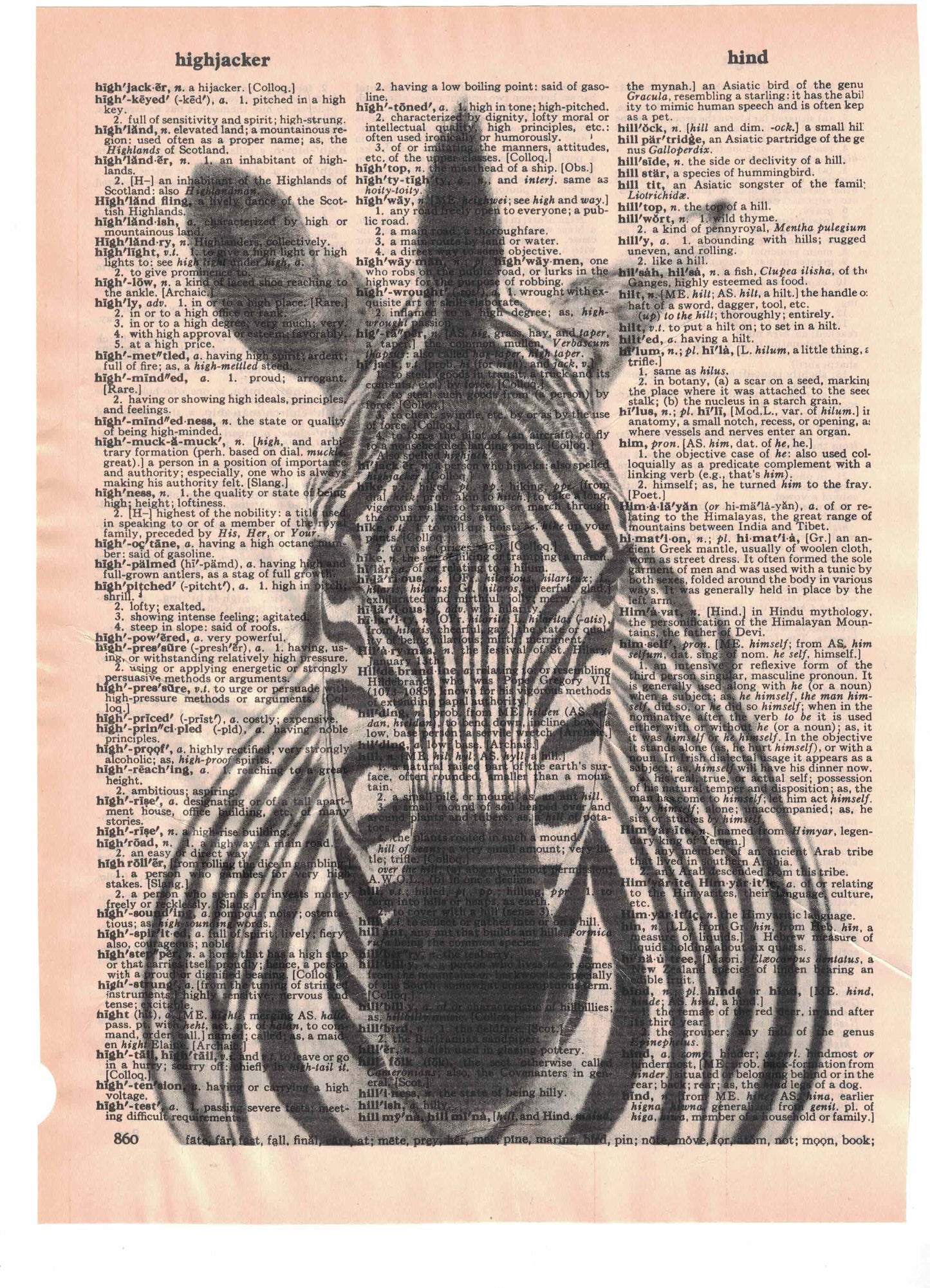 Zebra Dictionary Art Print