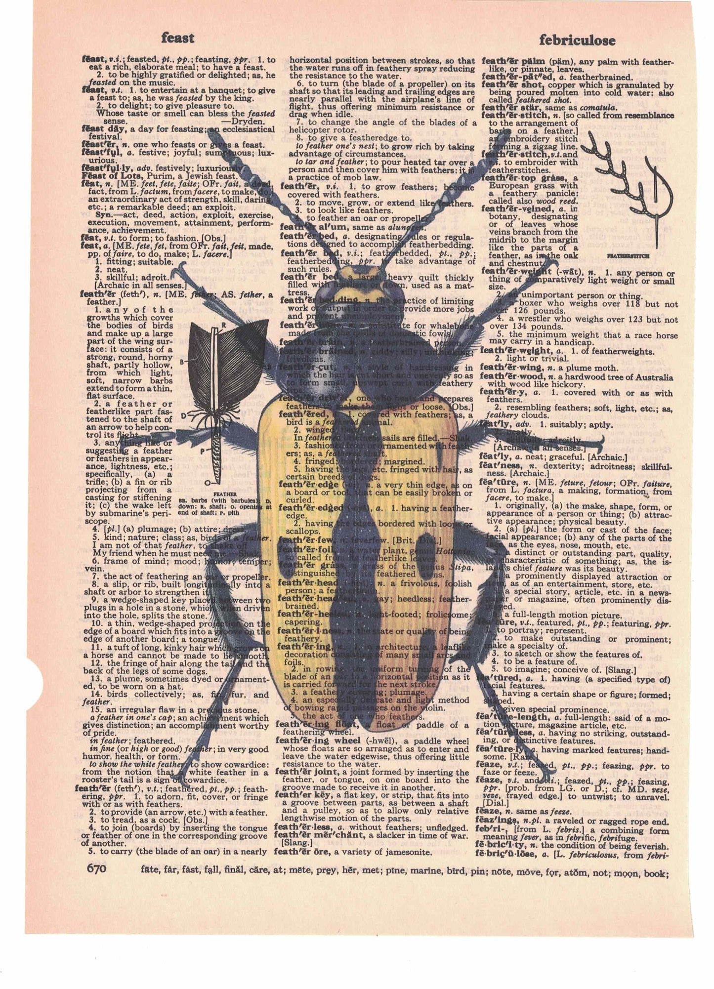 Yellow & Black Beetle Dictionary Art Print