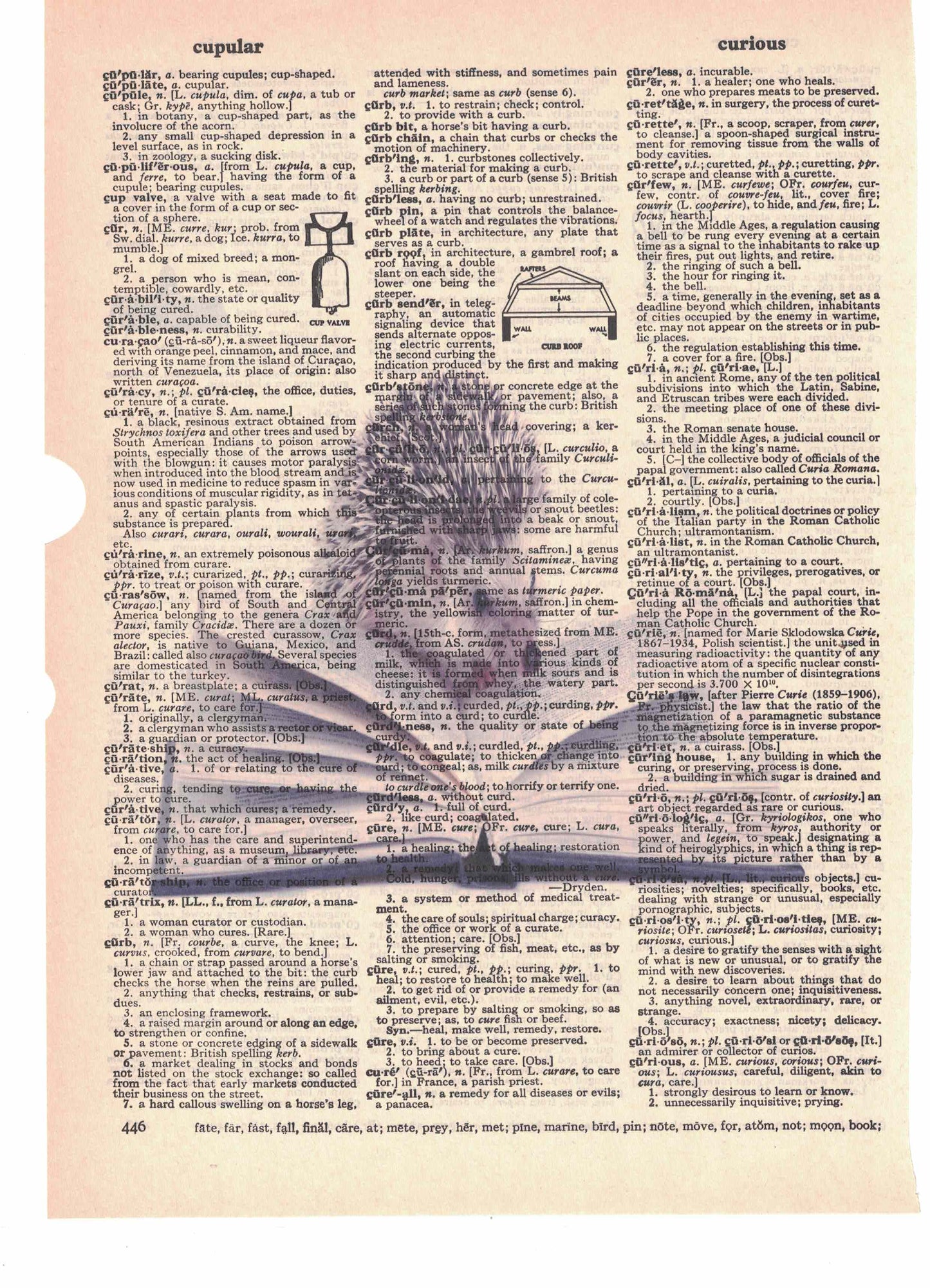 Hedgehog Reading Book Dictionary Art Print