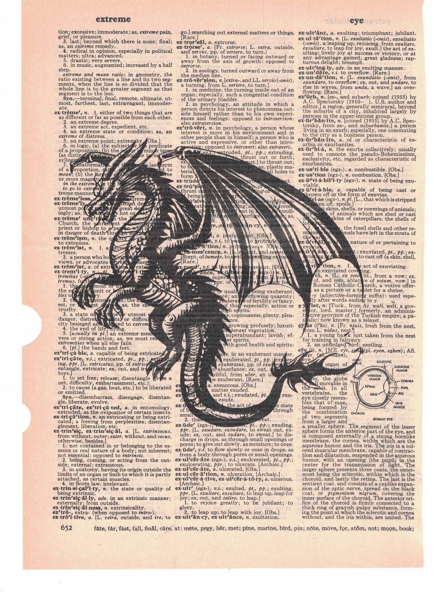 Western Dragon Dictionary Art Print