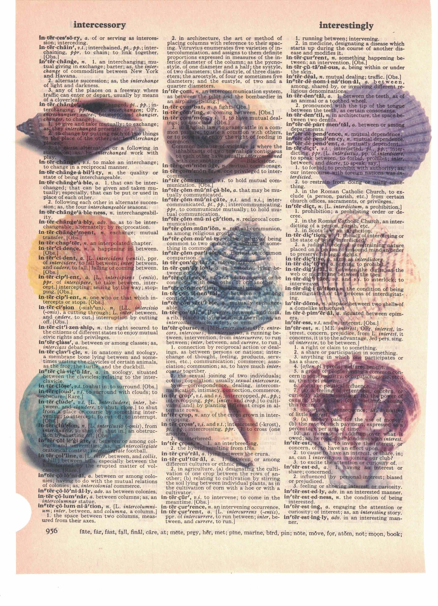 Sea Shells Dictionary Art Print