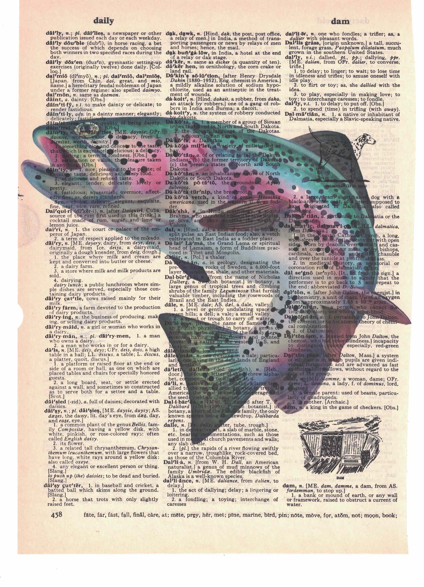 Rainbow Trout Dictionary Art Print