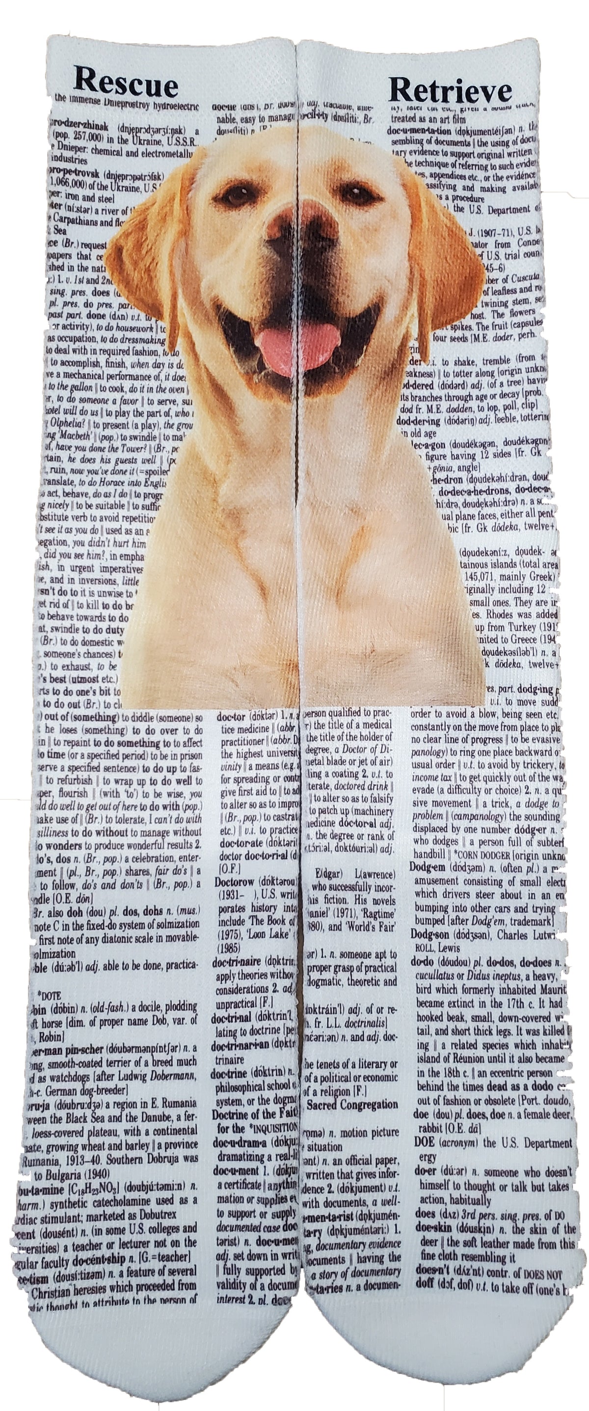 Lab Retriever Dog Unisex Dictionary Art Socks