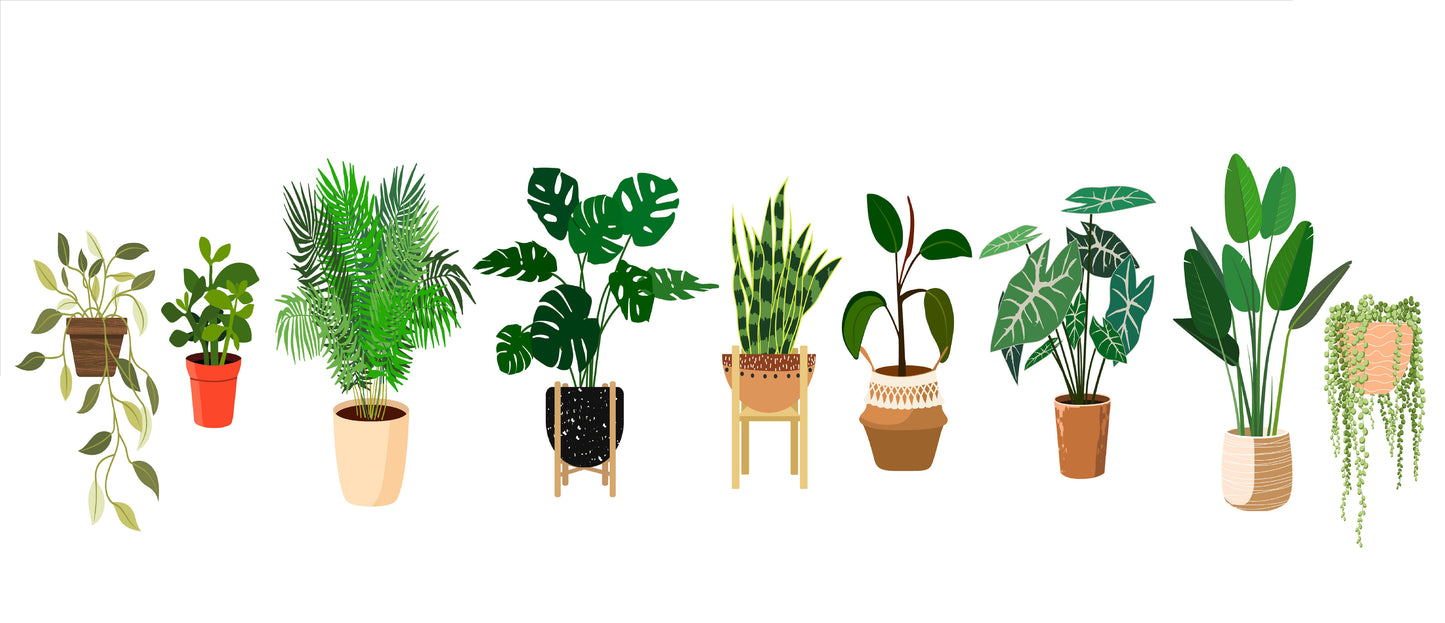 Plants 3 Piece Linked Dictionary Art