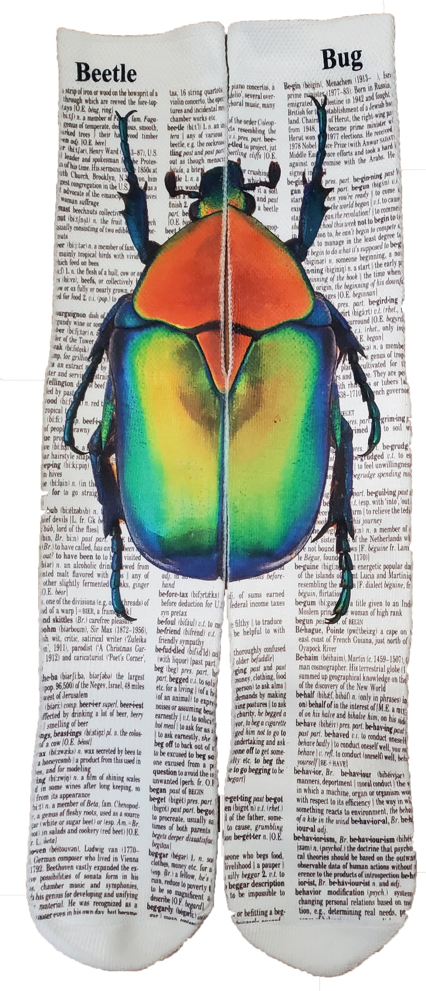 Rainbow Beetle Bug Unisex Dictionary Art Socks