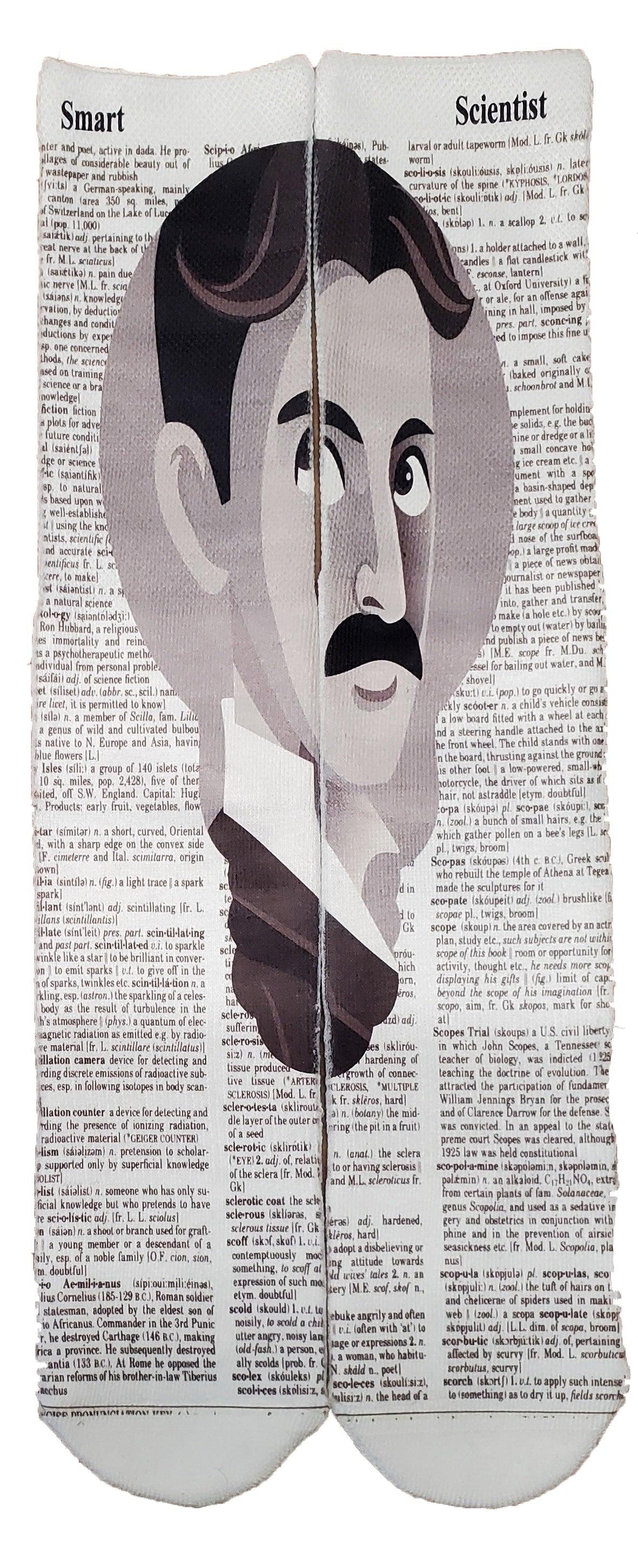 Smart Scientist Tesla Unisex Dictionary Art Socks