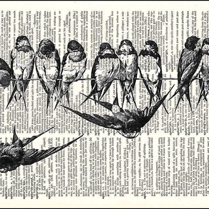 Birds On A Wire Dictionary Art Print