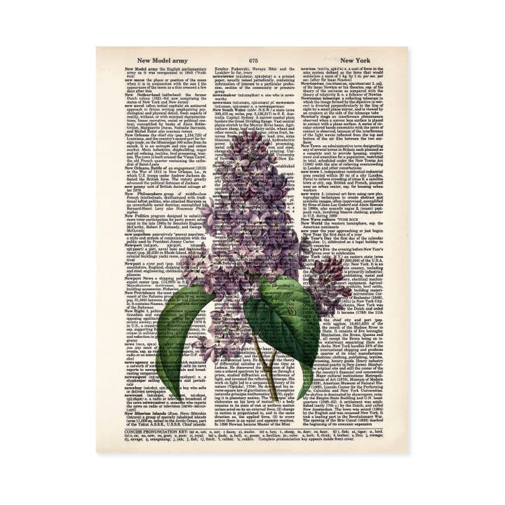 Lilac Flowers Dictionary Art Print