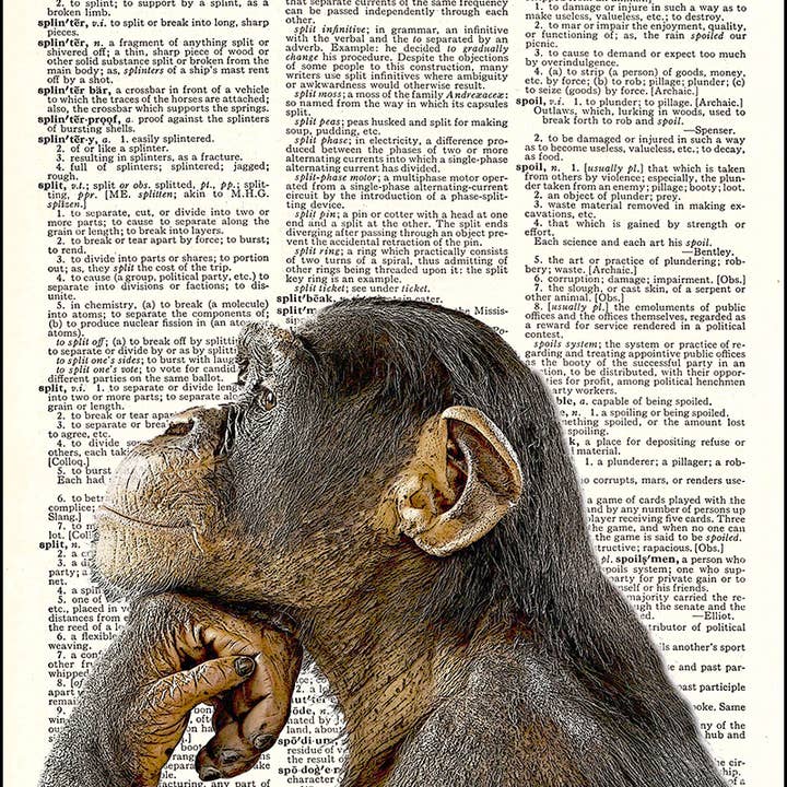 Chimp Monkey Thinking Dictionary Art Print