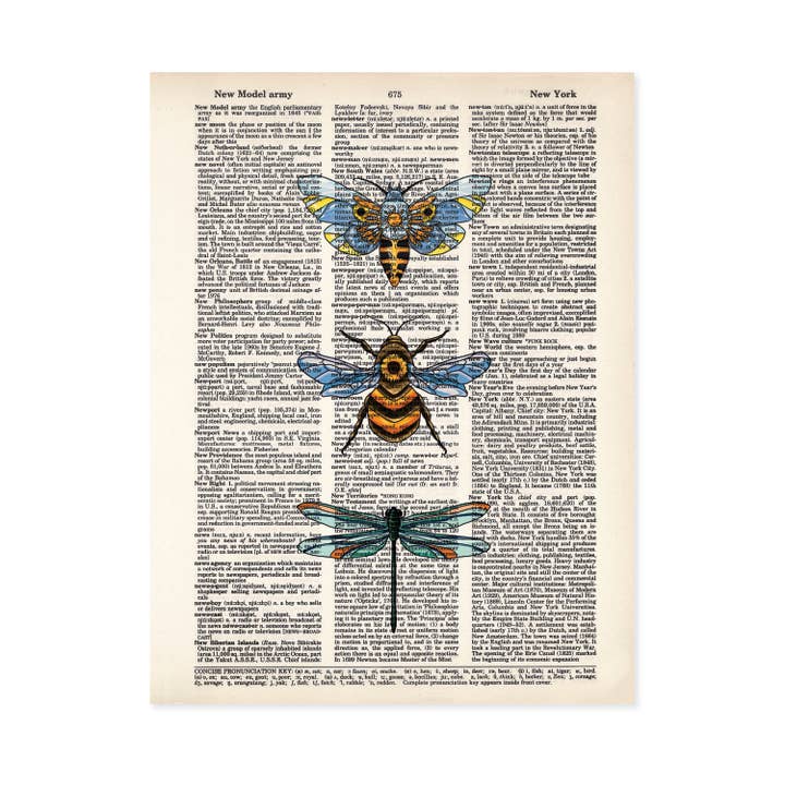 Bugs Sweet Moth Bee and Dragonfly Dictionary Art Print