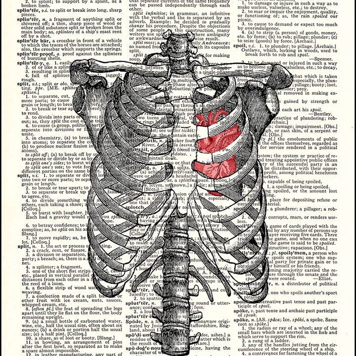 Ribs and Heart Dictionary Art Print
