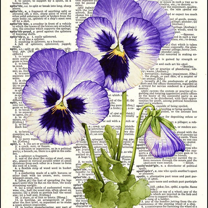 Pansies Flower Watercolor Dictionary Art Print