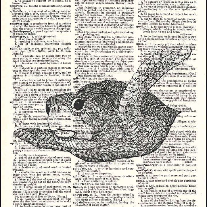 Baby Sea Turtle Dictionary Art Print