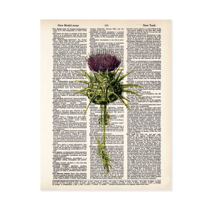 Thistle Purple Flower Weed Dictionary Art Print