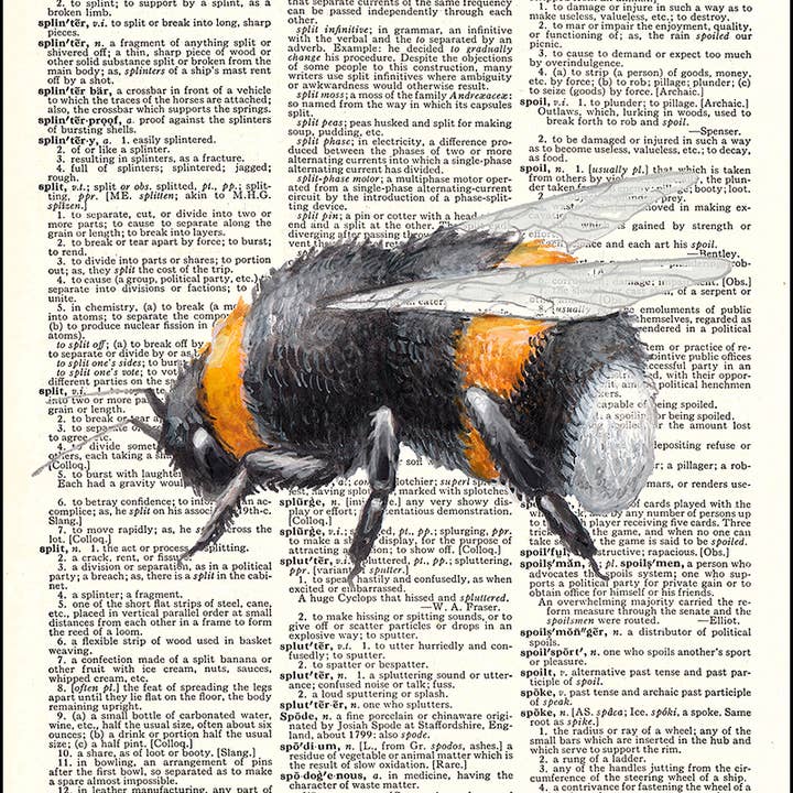 Bumblebee Bee Watercolor Dictionary Art Print