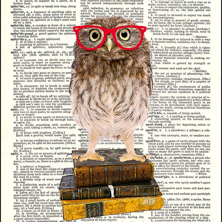 Wise Little Owl Dictionary Art Print