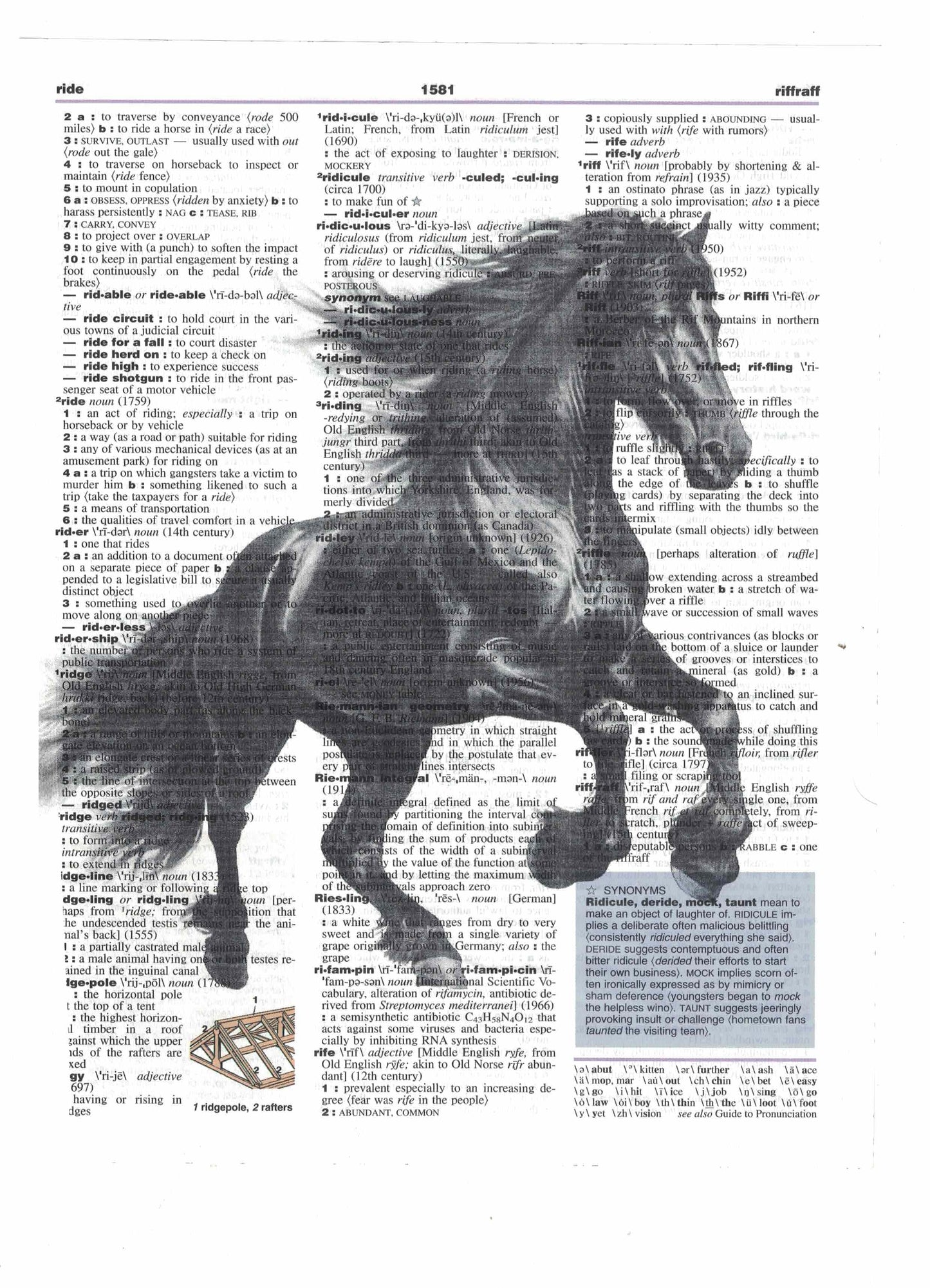 Horse Arabian Dictionary Art Print
