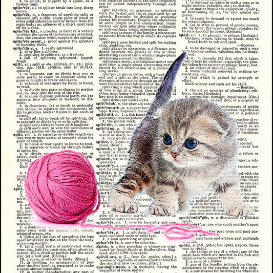 Kitten Cat with Yarn Dictionary Art Print