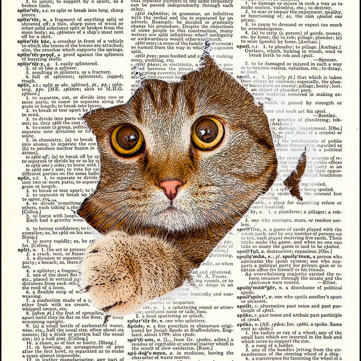 Cat Kitten Tearing Through Page Dictionary Art Print