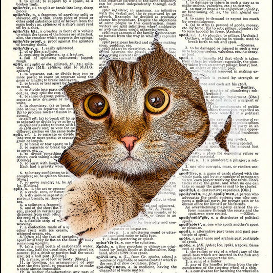 Cat Kitten Tearing Through Page Dictionary Art Print