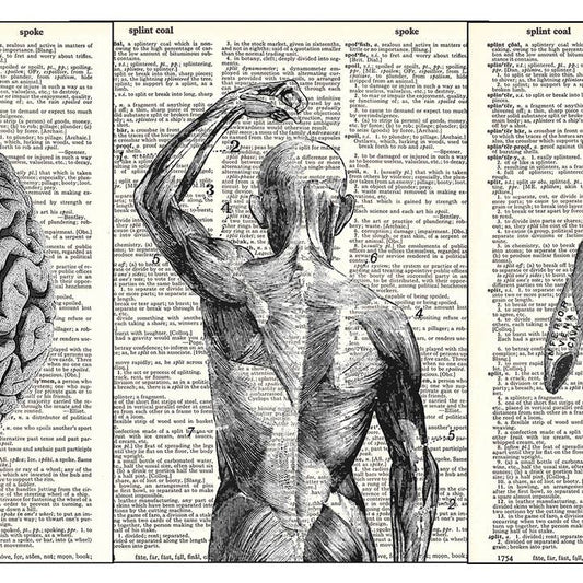 Anatomical Heart, Brain, Body 3 Piece Linked Dictionary Art