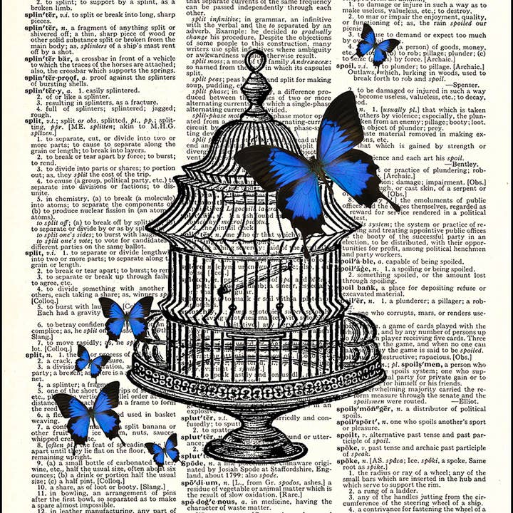 Butterflies and Cage Dictionary Art Print
