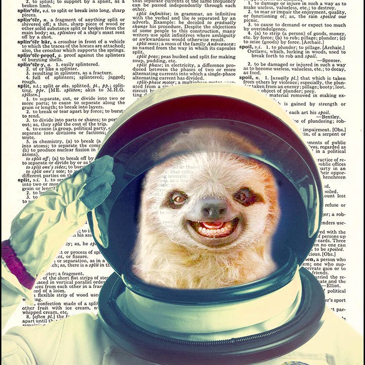 Sloth Astronaut Space Dictionary Art Print