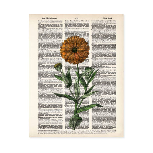 Marigold Yellow Flowers Dictionary Art Print
