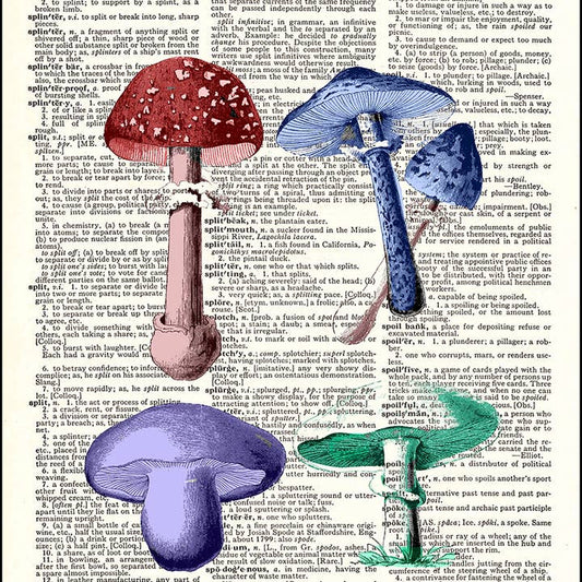 Colorful Mushrooms Dictionary Art Print