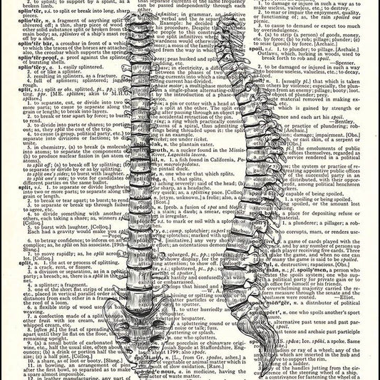 Human Spine Dictionary Art Print