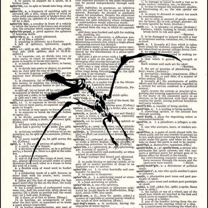 Pteranodon Dinosaur Skeleton Dictionary Art Print