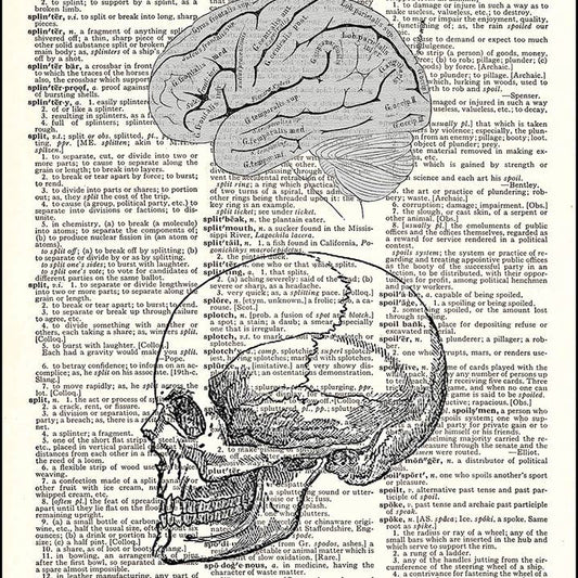Human Brain and Skull Dictionary Art Print