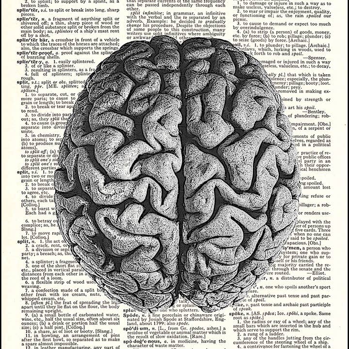 Human Brain Dictionary Art Print