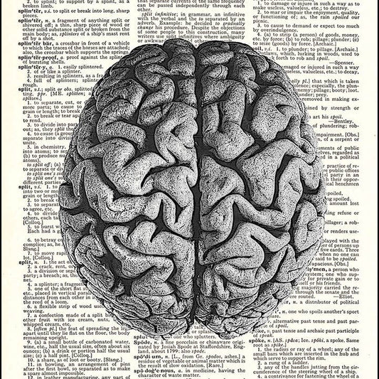 Human Brain Dictionary Art Print