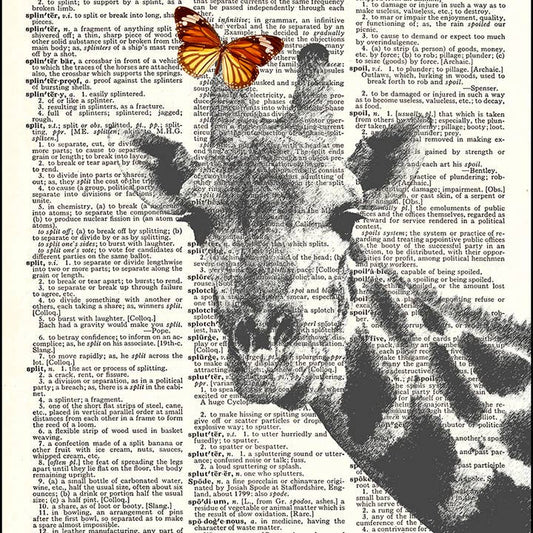 Butterfly On Giraffe Dictionary Art Print