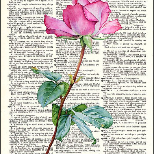 Pink Rose Dictionary Art Print