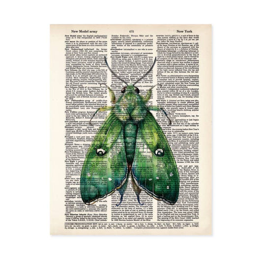 Green Moth Insect Dictionary Art Print