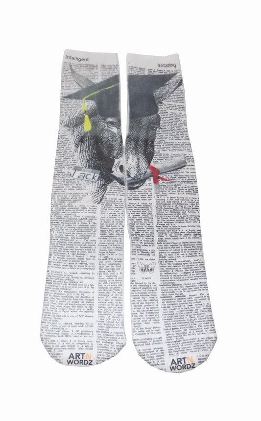 Wearable The Smart Ass Donkey Unisex Dictionary Art Socks