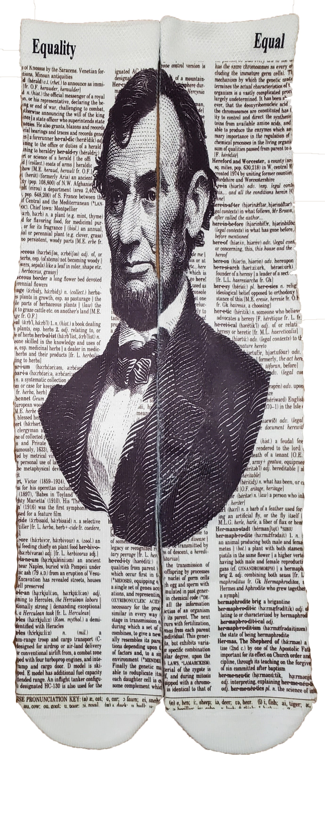 Equality Equal Abe Lincoln Unisex Dictionary Art Socks