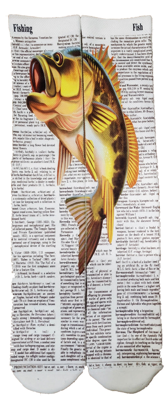 Fishing Fish Bass Unisex Dictionary Art Socks