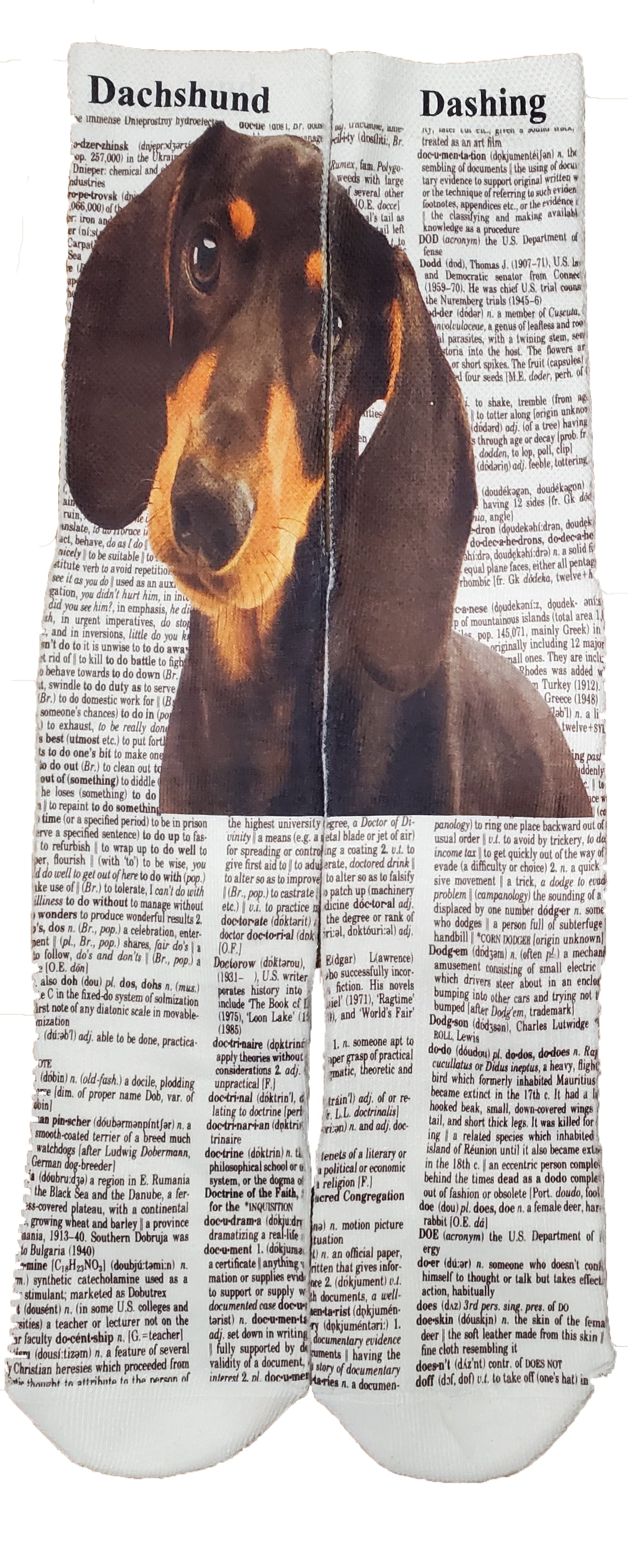 Dachshund Dashing Dog Unisex Dictionary Art Socks