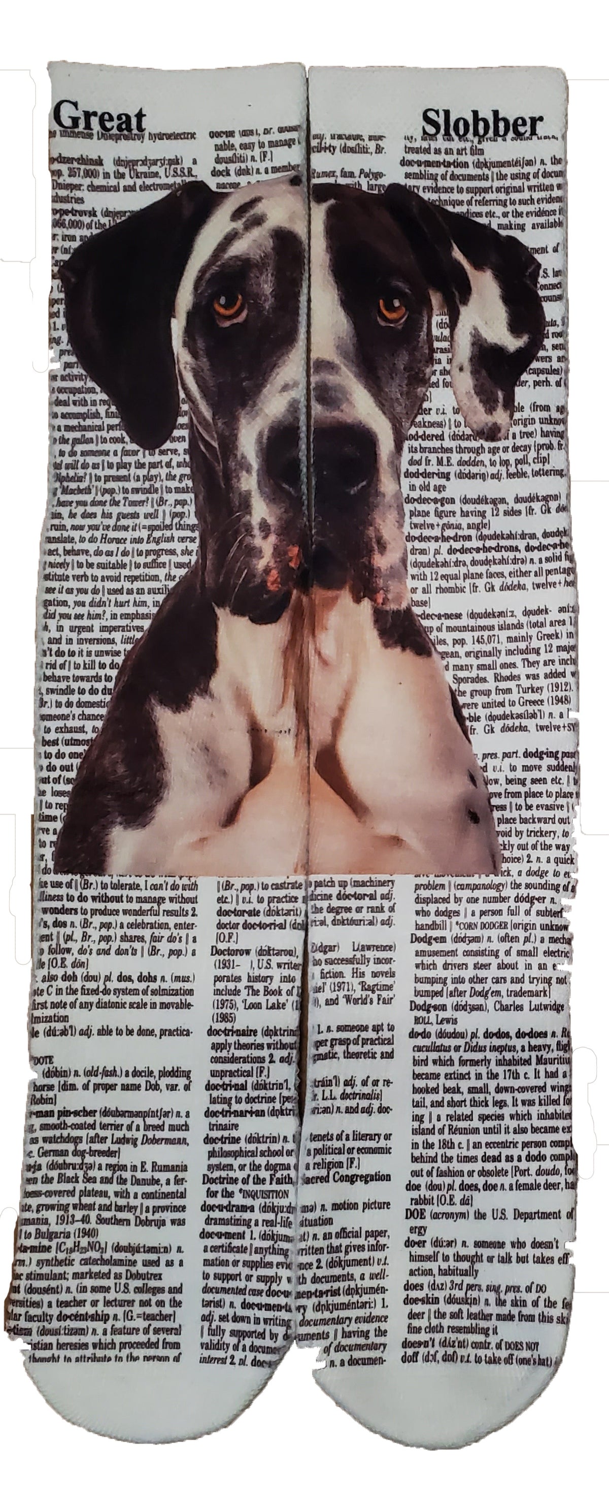 Great Dane Dog Unisex Dictionary Art Socks
