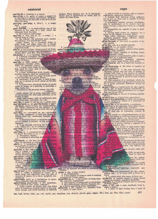 Chihuahua in Sombrero Dictionary Art Print