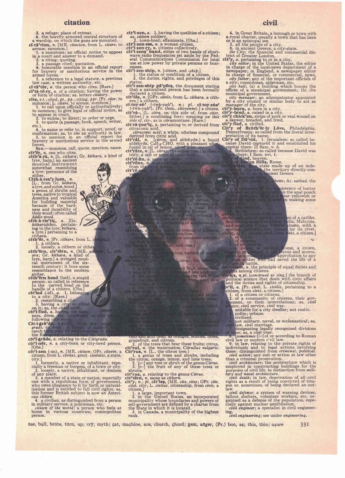 Dachshund Dog Dictionary Art Print
