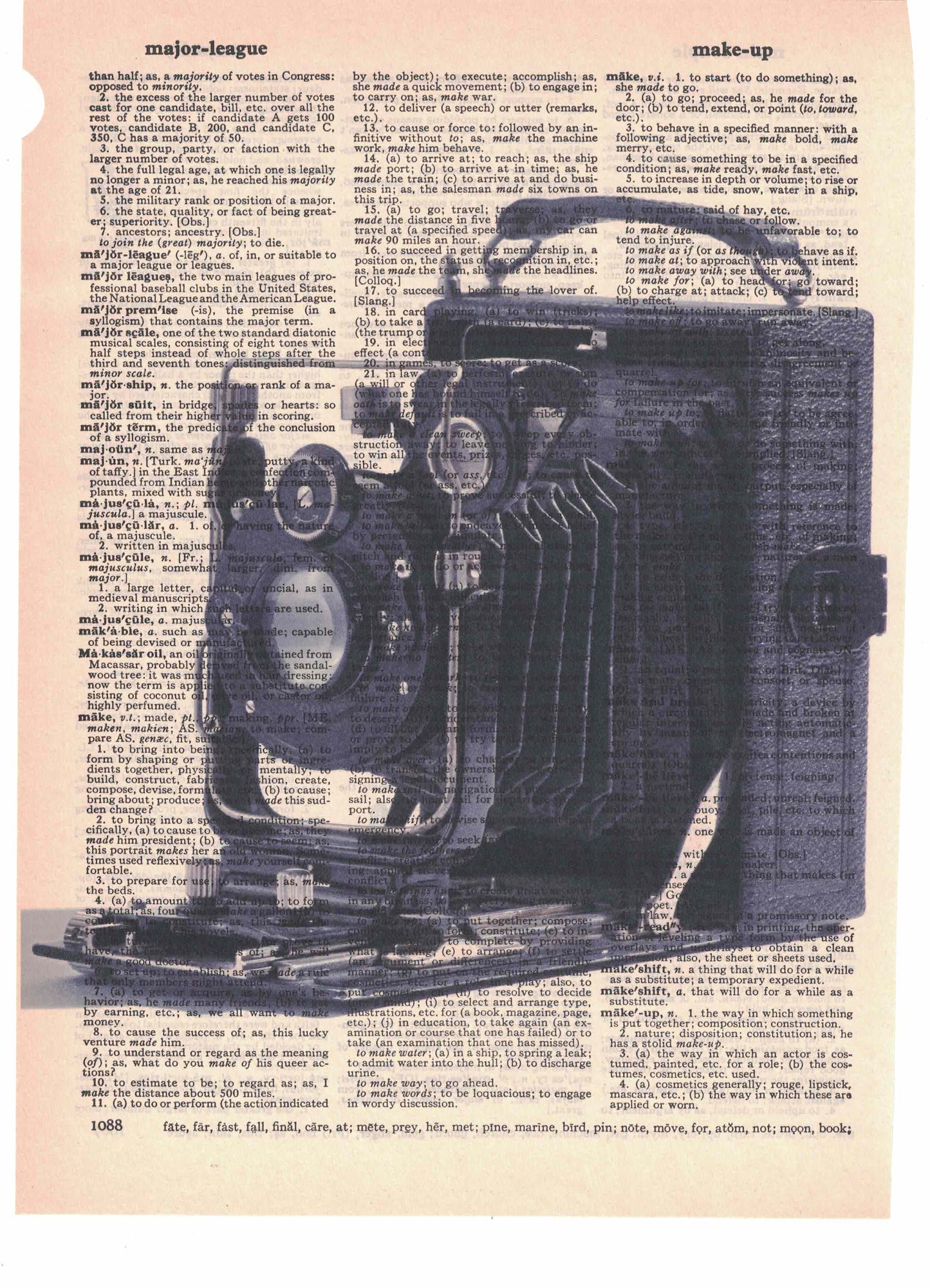 Vintage Camera Dictionary Art Print