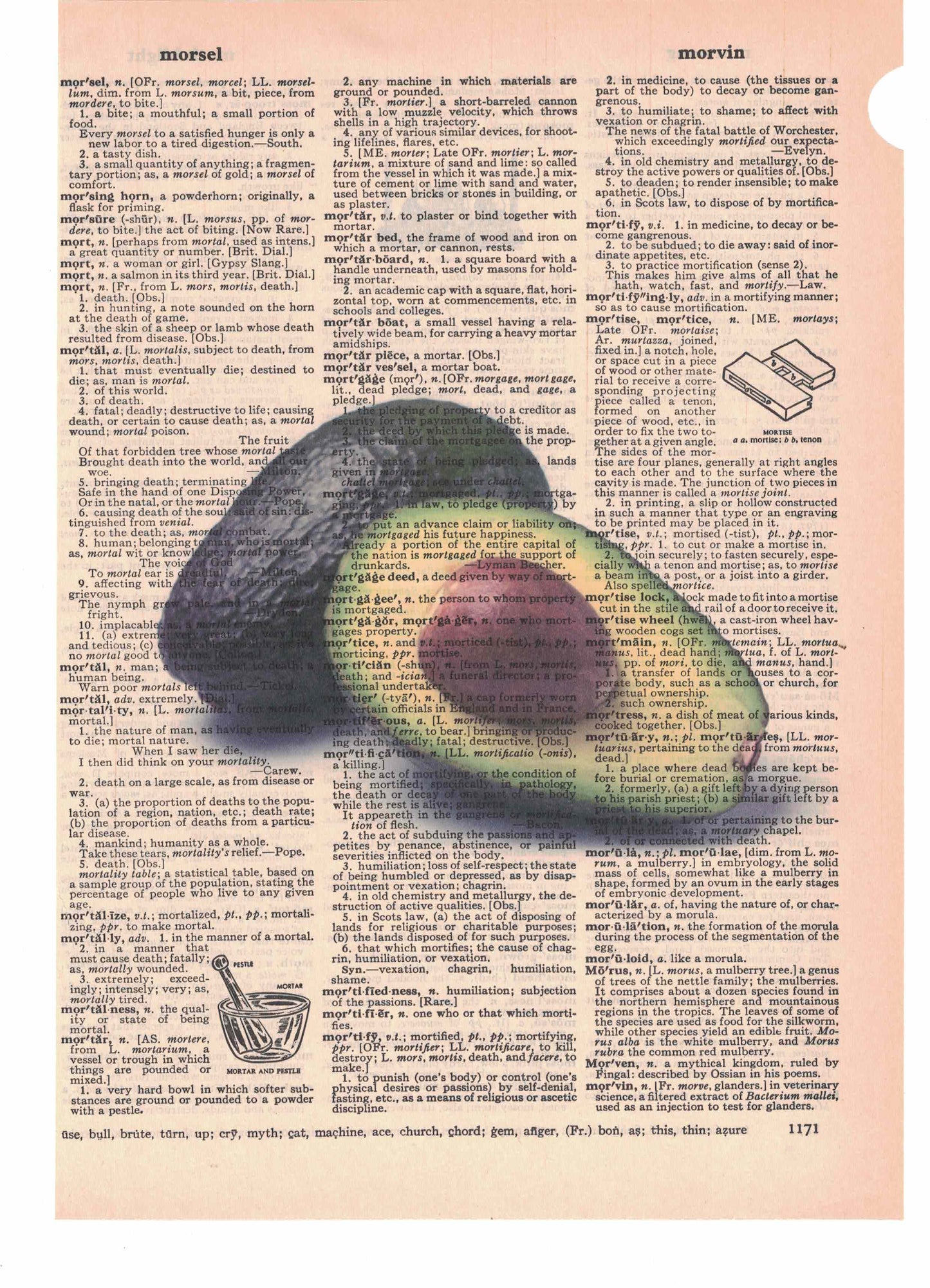 Avocado Dictionary Art Print