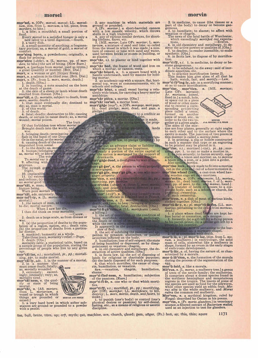 Avocado Dictionary Art Print
