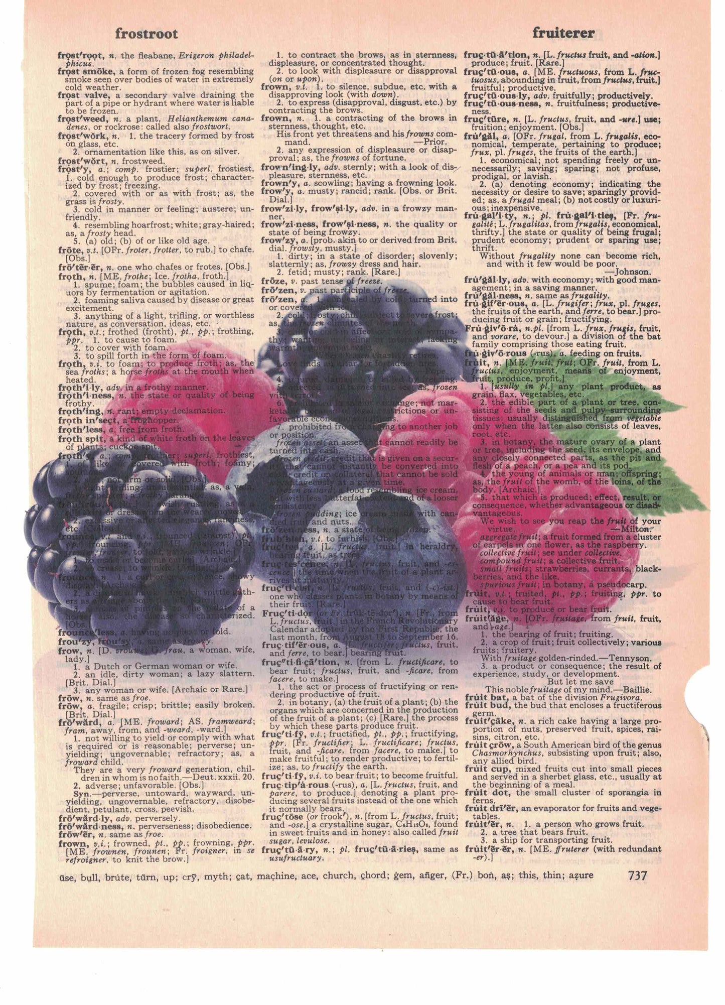 Berries Dictionary Art Print