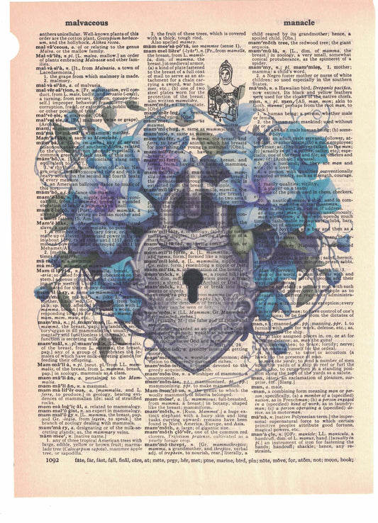 Flower Lock Keyhole Dictionary Art Print
