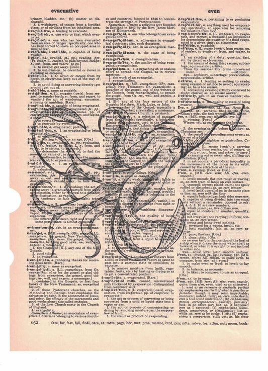 Squid Dictionary Art Print